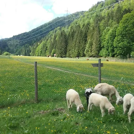 Διαμέρισμα Almwohnung Neuner Walchensee
